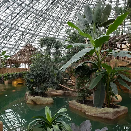 Les Jardins De Beauval-3